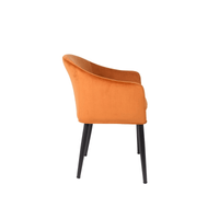 Fauteuil Astrid Oranje Jacob Jenzens