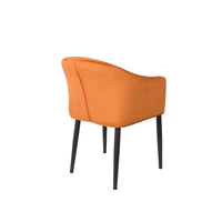 Fauteuil Astrid Oranje Jacob Jenzens