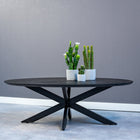 Mangohouten Salontafel Vicenza Black Ovaal Mahom